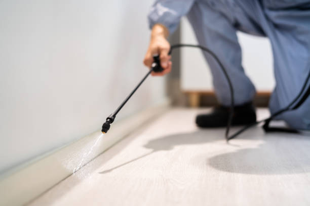 Professional exterminator conducting IPM assessment in Grosse Pointe Farms